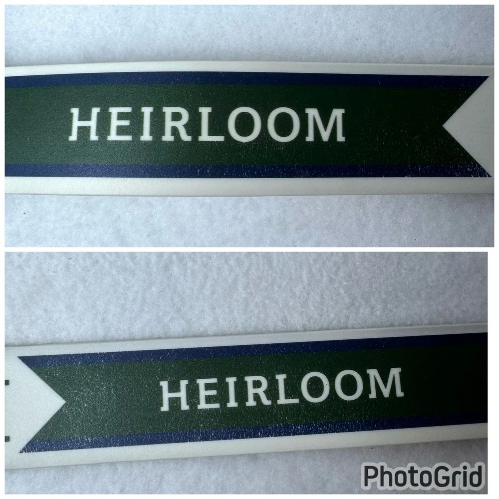 C4 Equestrian Belt Heirloom Green White Translucent Buckle Horse Jumping READ